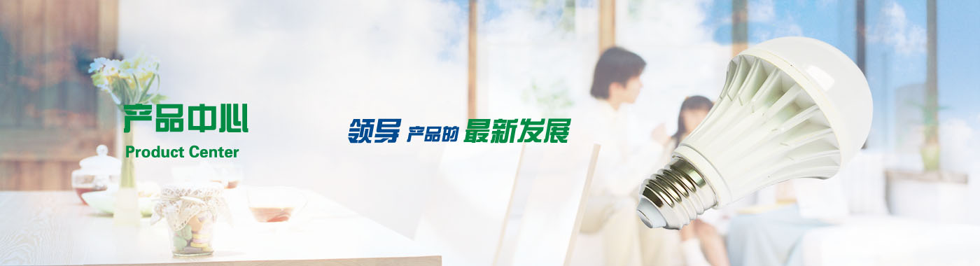 描述