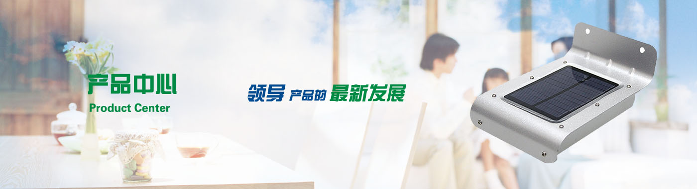描述