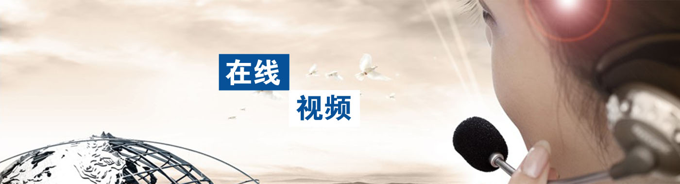 描述